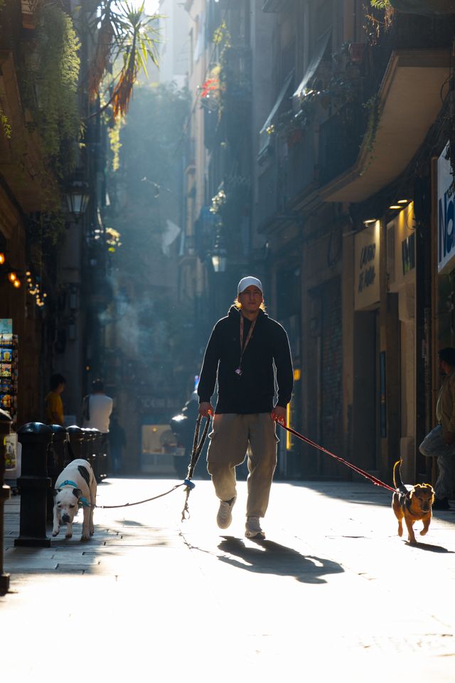 paseo para mascotas